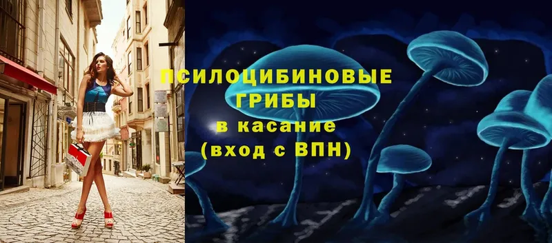 закладки  Фролово  Псилоцибиновые грибы Magic Shrooms 